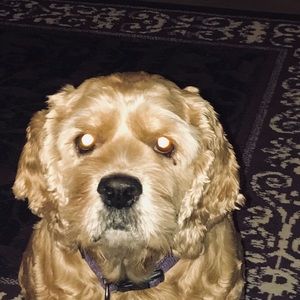 Meet your Posher, Catherine